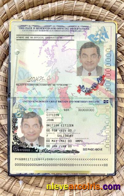 United Kingdom of Great Britain and Northern Ireland passport (2015-2020) photolook
